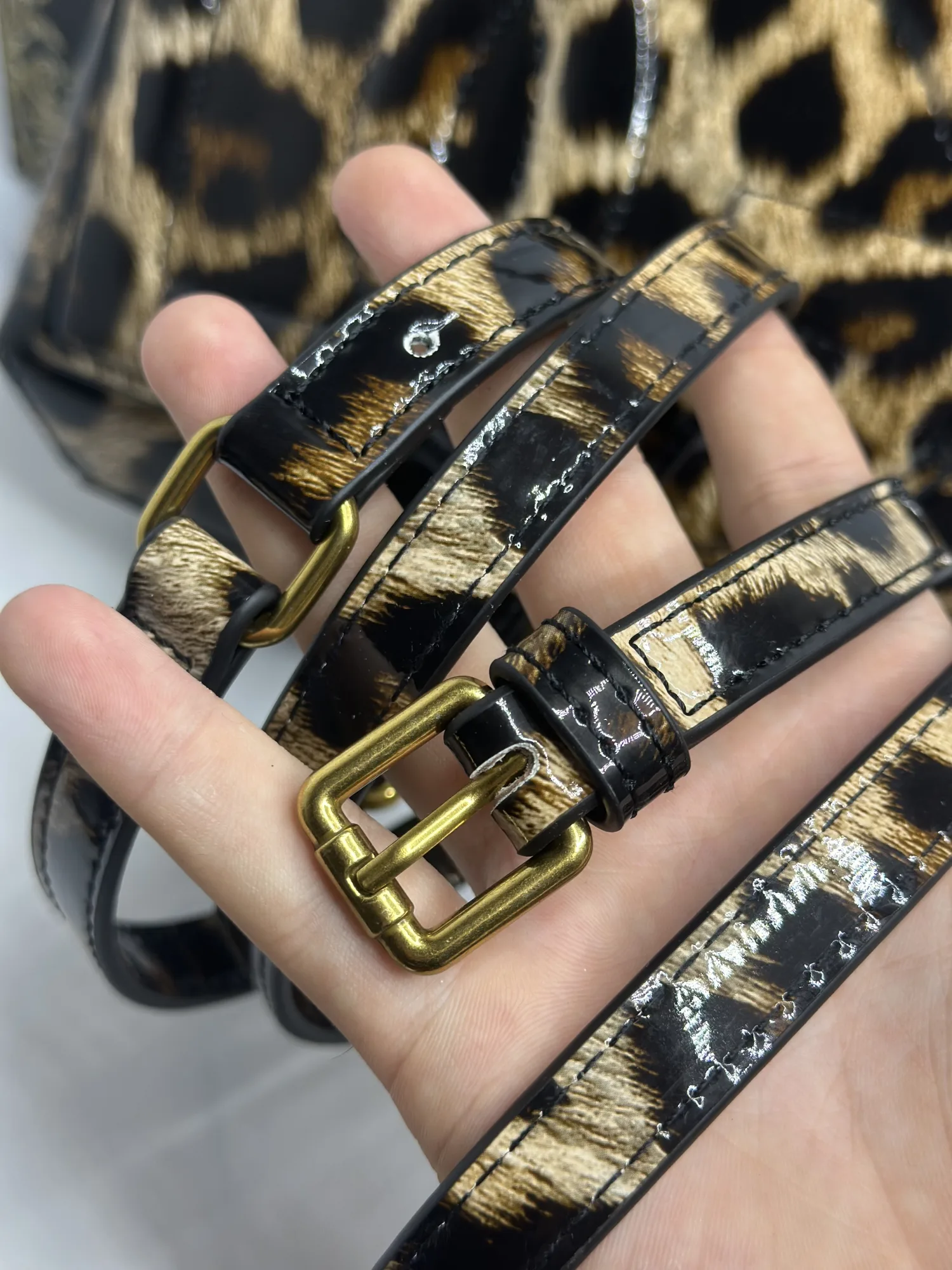 Sicily de Dolce & Gabbana